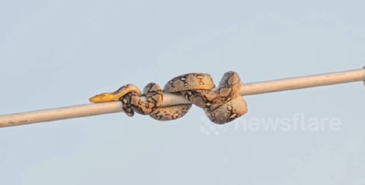 Người dân sợ hãi phát hiện 