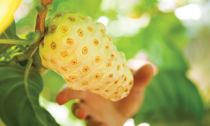 Loại quả có mùi lạ, có nhiều ở khu vực Nam Bộ: Người bịt mũi chạy xa, người sành ăn lại coi là 