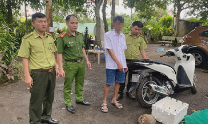 Khởi tố 3 bị can về hành vi mua bán, vận chuyển tê tê Java