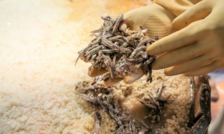 Quyết không để nghề 40 năm của gia đình mai một, thạc sĩ về quê làm mắm, kiếm tiền tỷ