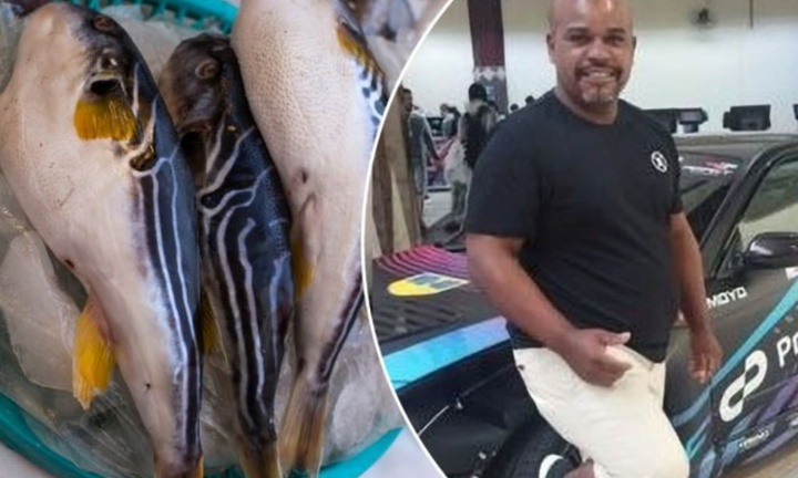 Người đàn ông tử vong thương tâm sau khi ăn cá nóc của bạn tặng