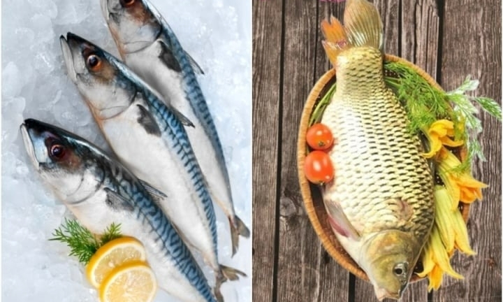 Ăn cá nước mặn hay cá nước ngọt bổ dưỡng hơn?