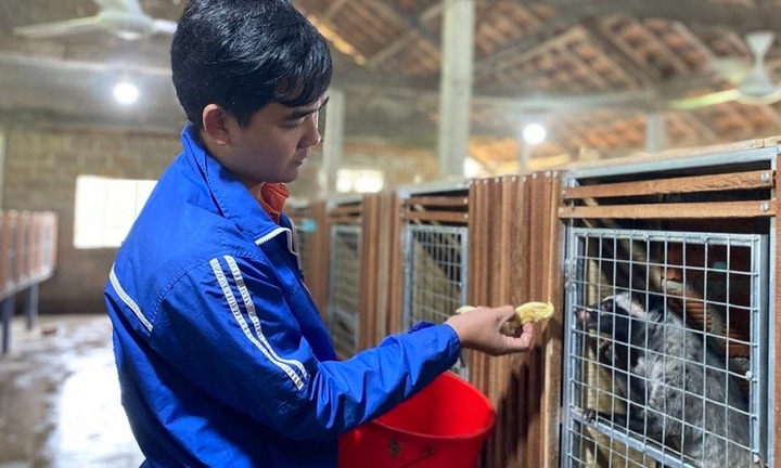 Bỏ nghề cơ khí về quê, 9X thu lãi 300 triệu/năm nhờ nuôi con vật