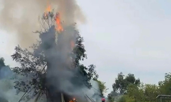 Cây đa 200 tuổi ở Quảng Ngãi bất ngờ bốc cháy dữ dội