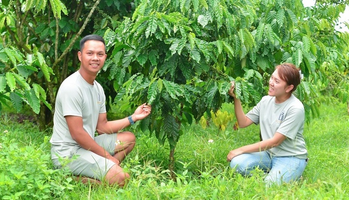 Bỏ phố về quê, vợ chồng trẻ ở Lâm Đồng xây nhà máy tiền tỷ, xuất khẩu cà phê đi Anh, Đức