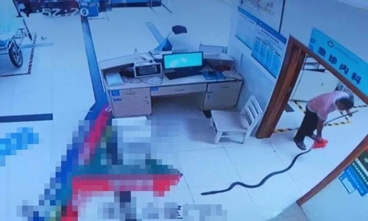 Cụ ông 78 tuổi bị rắn hổ mang chúa dài 2m cắn, gia đình đưa cả nạn nhân lẫn rắn hung dữ đến bệnh viện