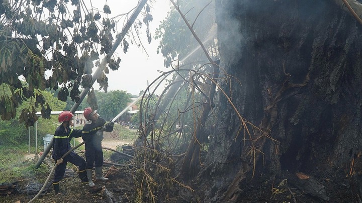 Tin thời sự hôm nay (25/8): Cây đa cổ thụ 200 tuổi ở Quảng Ngãi bị cháy rụi