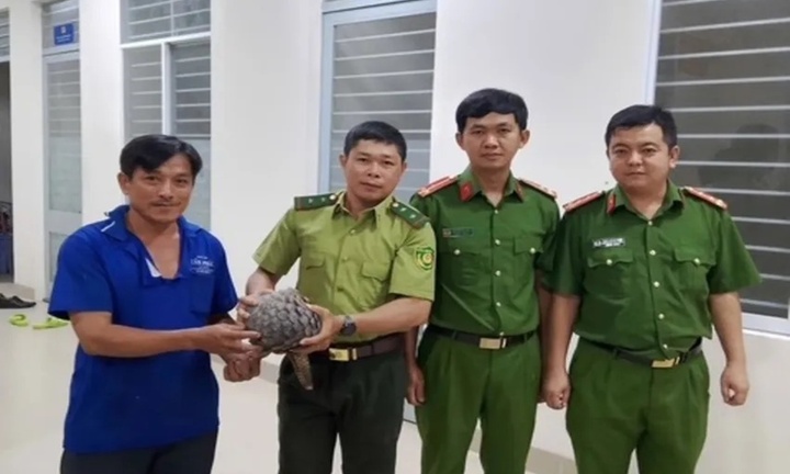 Người đàn ông giao nộp con vật quý hiếm nặng gần 4kg, có 