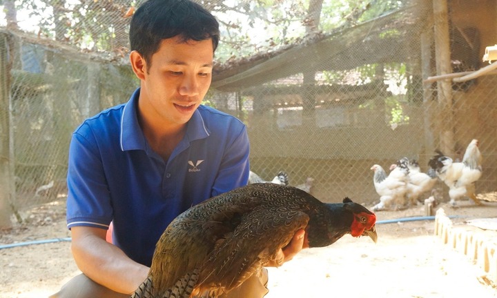 Nuôi loài chim quý hiếm, người đàn ông nhận Huân chương Lao động