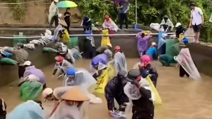 Sự thật về thông tin cả chục người nhảy xuống bể “hôi” cá, mặc chủ trại bất lực van xin