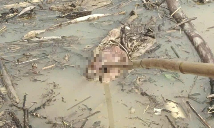 Phát hiện 4 thi thể trôi dạt trên hồ thủy điện ở Nghệ An