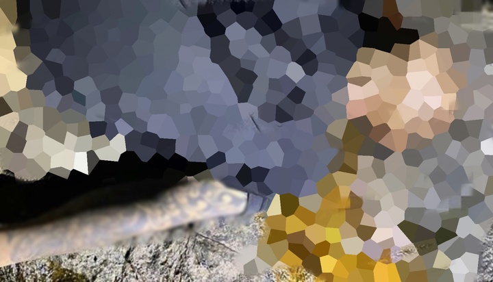 Phát hiện thi thể nam giới ở khu vực Bãi Chuối: Nạn nhân mặc quần lửng màu vàng, xăm kín cánh tay trái