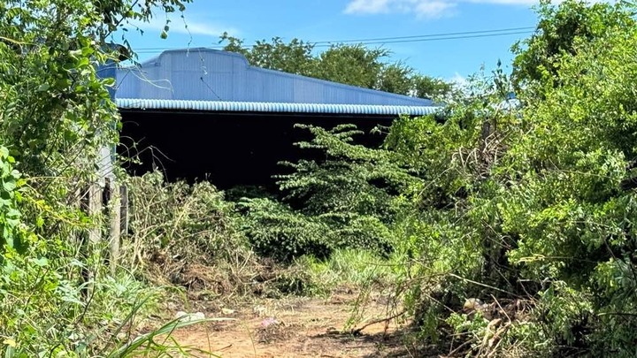 Phát hiện thi thể người đàn ông phân huỷ mạnh trong nhà kho bỏ hoang ở Lâm Đồng