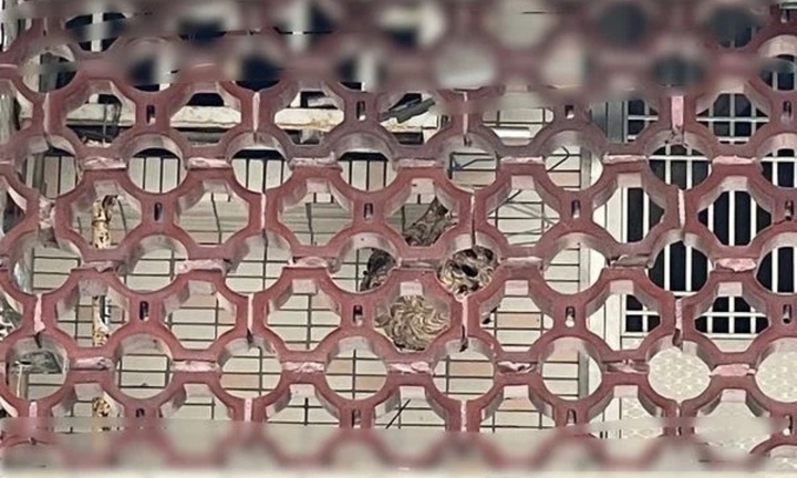 Dọn dẹp ban công, người phụ nữ bị vật thể bí ẩn to bằng quả bóng rổ tấn công, phải nhập viện cấp cứu