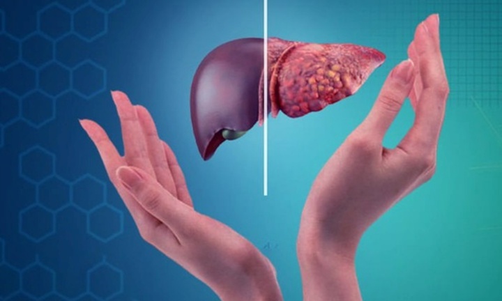 Những dấu hiệu cho thấy gan đang tự chữa lành