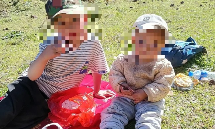 Lạc vào rừng khi đi làm đồng cùng ông bà, 2 anh em bị ong bắp cày đốt, cả 2 tử vong thương tâm