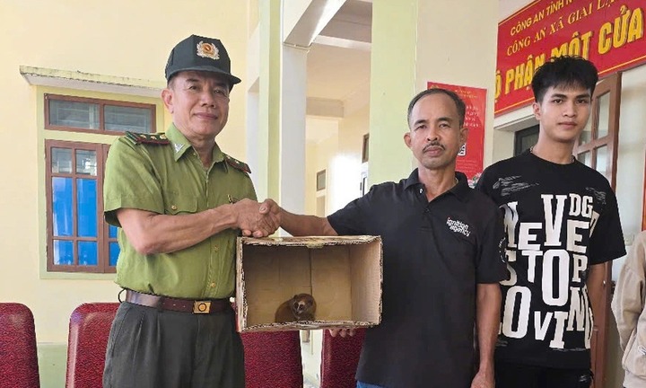 Tin tức thời sự hôm nay (7/9): Thú lạ vào sân, người đàn ông liền báo công an