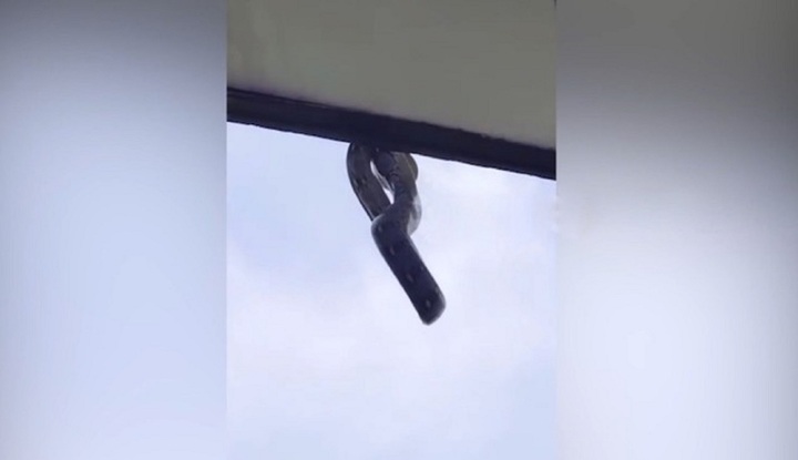 Nhìn ra cửa sổ, học sinh và giáo viên sợ hãi la hét, khi thấy thứ 