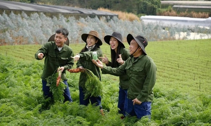 Vụ kẹo rau củ Kera: Nhóm Quang Linh Vlog, hoa hậu Thùy Tiên, Hằng Du mục đã mượn vườn cà rốt, thuê nông trại để 