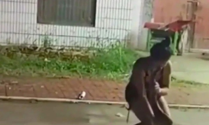 Kinh hãi trước cảnh tượng cô gái bị trăn khổng lồ cắn vào mặt tại đám cưới, quan khách chứng kiến sốc nặng