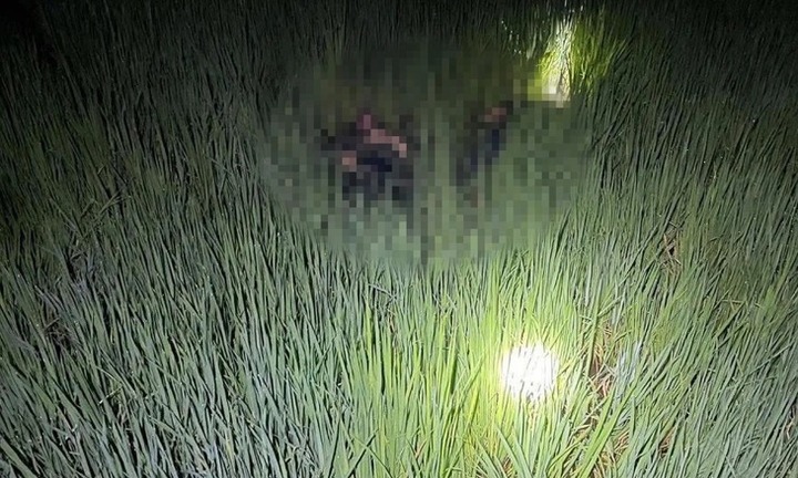 Phát hiện 2 người đàn ông tử vong giữa ruộng lúa, nghi dính điện bẫy chuột