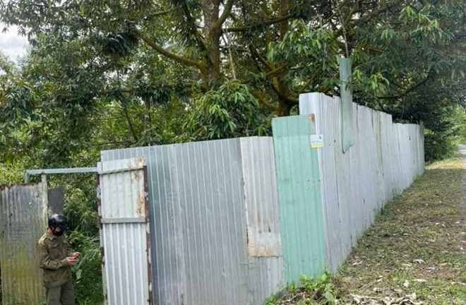 Tìm thân nhân tử thi phân hủy trong vườn sầu riêng, áo trước ngực có chữ 