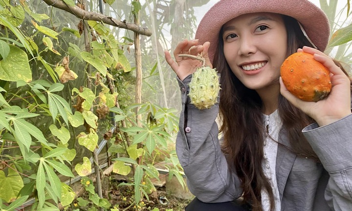 Bỏ phố về rừng, 9X Cần Thơ tự tay xây