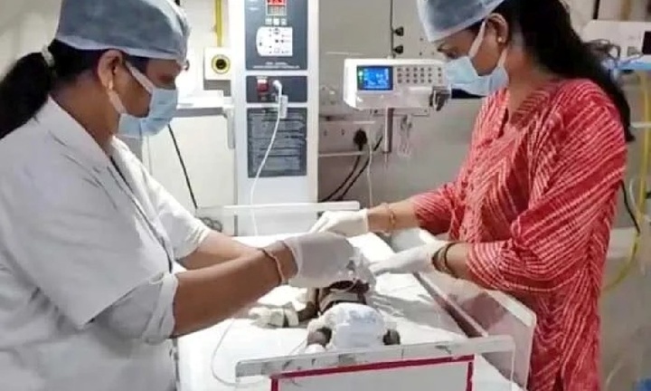 Đi chăn dê, người đàn ông hoảng hồn phát hiện bé sơ sinh bị lấp dưới đất 