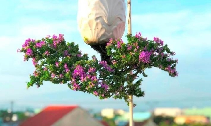 Chiêm ngưỡng tuyệt tác 