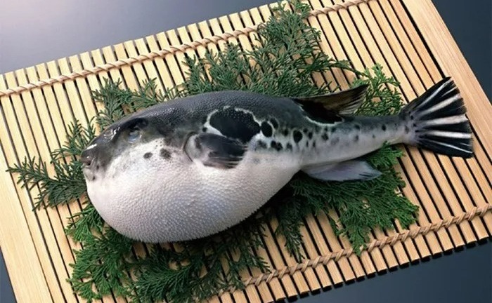 1 người tử vong, 2 người cấp cứu sau khi ăn loại cá chứa độc tố thần kinh mạnh gấp 275 lần xyanua