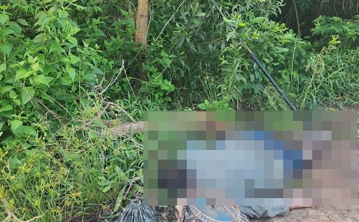 Điều tra vụ người đàn ông tử vong ven đường ở Đồng Tháp, bên cạnh có 2 lồng chim cu đất