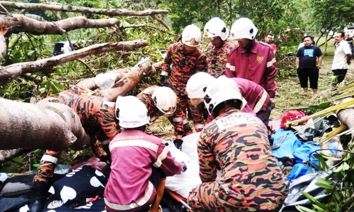 Cây lớn bất ngờ đổ trúng lều cắm trại, người phụ nữ tử vong thương tâm, chồng và con trai bị thương