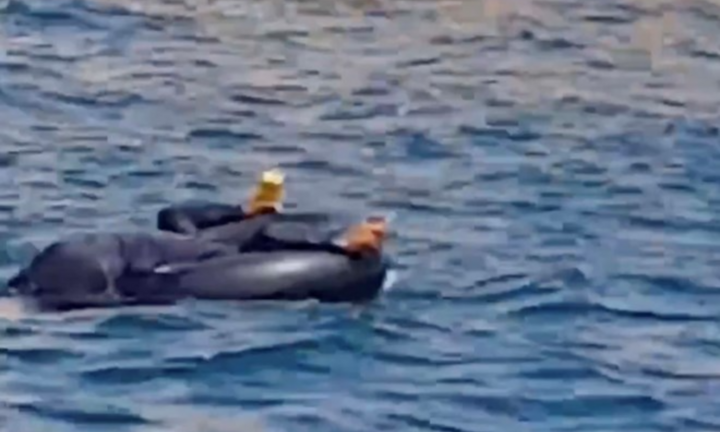 Xác minh clip người đàn ông nghi cầm mìn đánh cá ở biển Hòn Bạc, Khánh Hòa