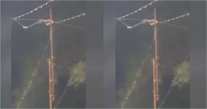 Rò rỉ điện do lắp đặt đèn trang trí, 2 trẻ em bị giật tử vong thương tâm  