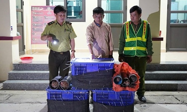 Tin pháp luật nổi bật 24h qua: Hà Ngọc Quỳnh bị bắt