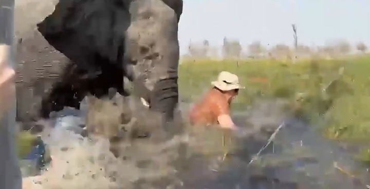 Clip: Kinh hoàng cảnh voi dữ lật úp thuyền, 4 du khách rơi xuống vùng nước có đầy cá sấu