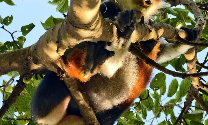 Đi săn ảnh, nhóm bạn 