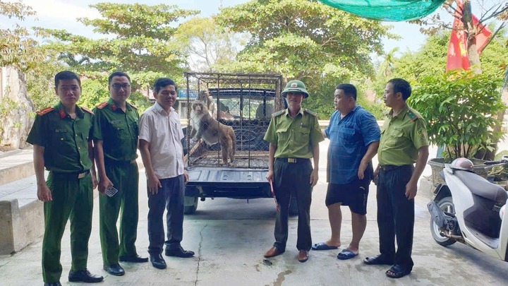 Gia chủ phát hiện con vật quý nặng 10kg, có chiếc đuôi 