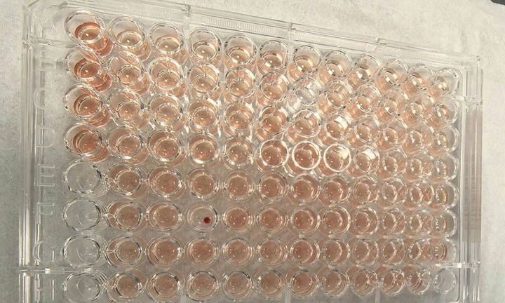 Trung Quốc phát hiện người mang