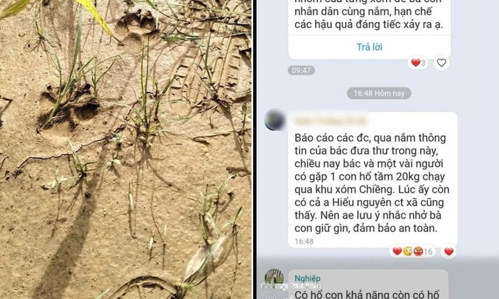 Chủ tịch xã ở Phú Thọ khẳng định 