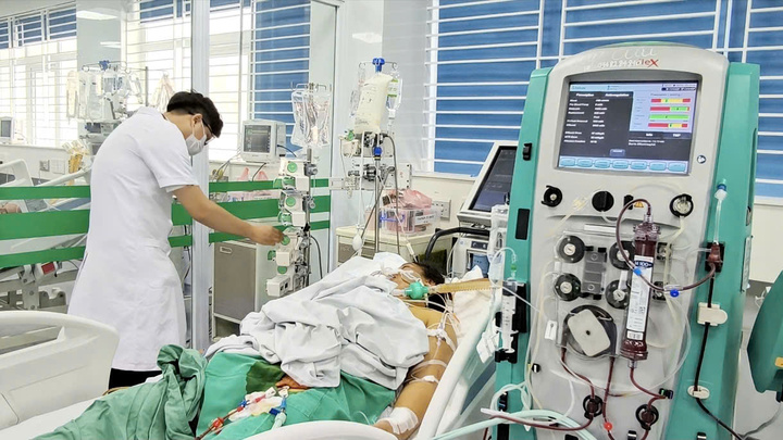 Nữ công nhân sốc nhiễm trùng, suy đa tạng do xoắn khuẩn vàng da