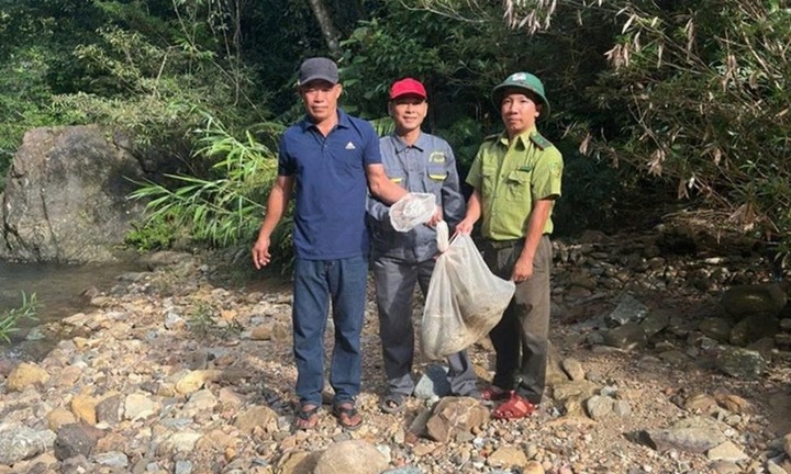Người dân bàn giao cho kiểm lâm con vật quý nặng 12kg, săn mồi