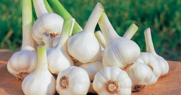 Bật mí loại gia vị rẻ tiền ngăn ngừa đột quỵ hiệu quả