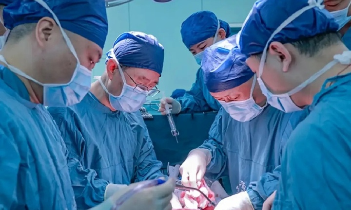 Người đàn ông Trung Quốc sống thêm 171 ngày nhờ ghép gan lợn