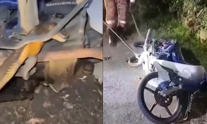 Rắn hổ mang chúa dài gần 4m chặn đường, thiếu niên 16 tuổi sợ hãi vứt xe bỏ chạy