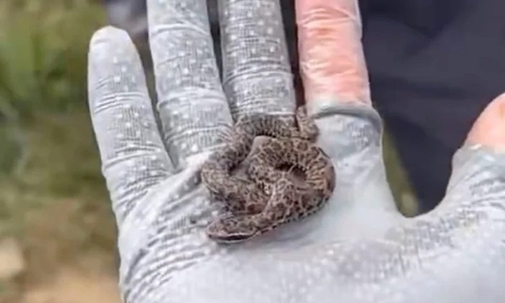 Nhóm du khách chuyền tay nhau