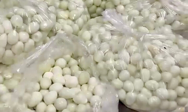 Diễn biến mới nhất vụ phụ huynh phát hiện thịt, trứng cút bốc mùi tuồn vào trường học tại Hà Nội