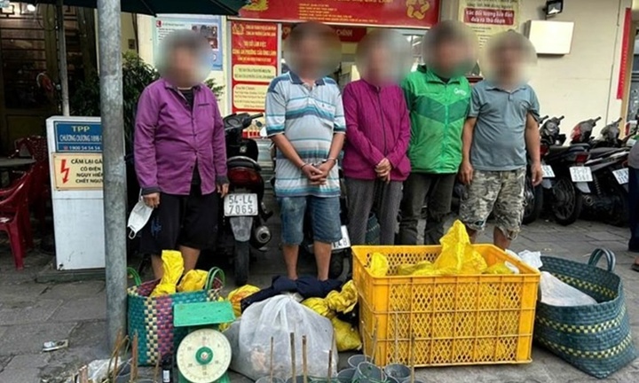 Triệt phá đường dây trộm cắp, mua bán chó mèo ở TP.HCM