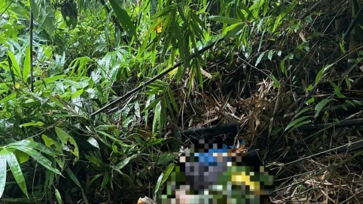 Vụ người đàn ông tử vong trong rừng ở Lâm Đồng: Dấu vết kỳ lạ ở hiện trường