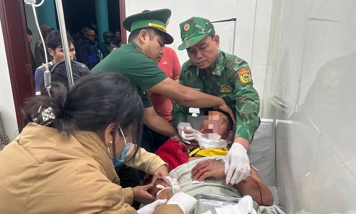 Người đàn ông ở Đà Nẵng bị thú dữ tấn công khi đi thăm rẫy